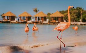Renaissance Aruba Resort&Casino